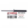 RIVETTI SCAFO YAMAHA